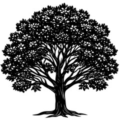 Sandalwood tree