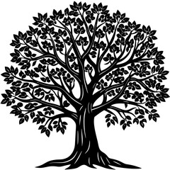 Obraz premium Sandalwood tree