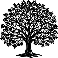 Obraz premium Sandalwood tree