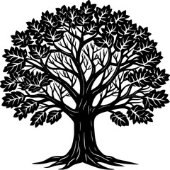 Obraz premium Sandalwood tree