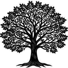 Sandalwood tree