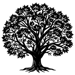 Obraz premium Sandalwood tree