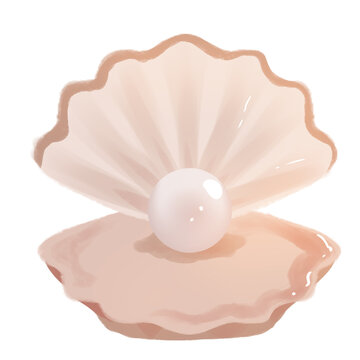 Shells with beautiful pearls