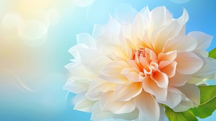 Obraz premium abstract flower background