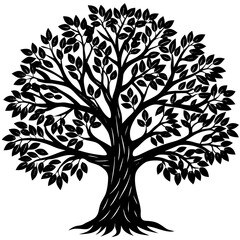 Obraz premium Eucalyptus tree