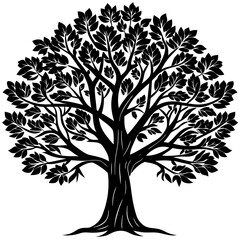 Obraz premium Eucalyptus tree