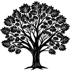 Obraz premium Eucalyptus tree