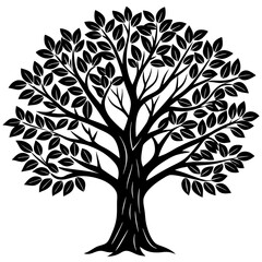 Fototapeta premium Eucalyptus tree