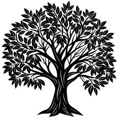 Obraz premium Eucalyptus tree