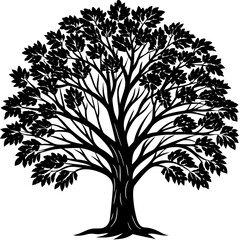 Eucalyptus tree