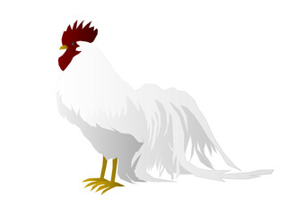 1羽の雄鶏のベクターイラスト