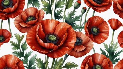 Watercolor illustration of red poppy flowers.