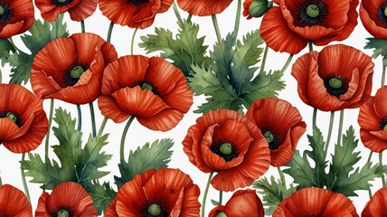 Fototapeta premium Watercolor illustration of red poppy flowers.
