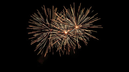 Obraz premium From below, shot of stunning brilliant fireworks erupting on the background of black night sky.