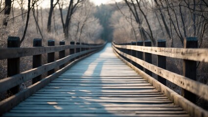 Winter landscape featuring a wooden bridge amidst trees and nature in Maryland.