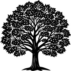 Obraz premium Teak tree