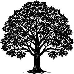 Obraz premium Teak tree