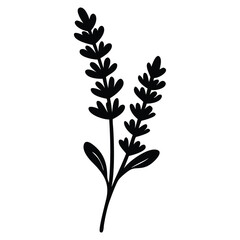 Lavender flower silhouette vector Design.