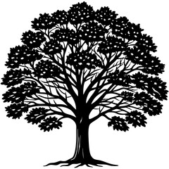 Teak tree