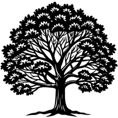 Obraz premium Teak tree