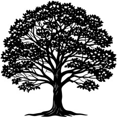 Obraz premium Teak tree