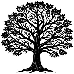 Obraz premium Teak tree