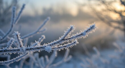 Obraz premium Frozen Branch in Winter