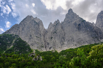 Fototapeta premium Woods and wild landscapes of the Carnic Alps. Creta Grauzaria