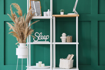 Vase with pampas grass and shelving unit near green wall in room