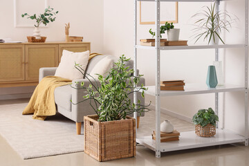 Shelving unit and grey sofa in living room