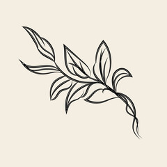 Elegant Black Line Art Botanical Branch Illustration