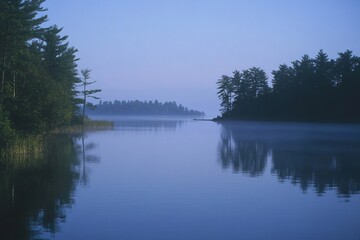 Misty lake at dawn. Calm waters reflecting trees