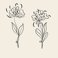 Elegant Minimalist Line Art Flower Drawings Botanical Illustrations