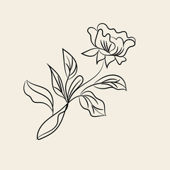 Elegant Black Line Art Flower Drawing Botanical Illustration
