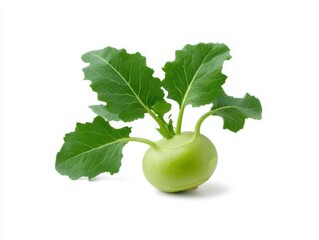 Isolated kohlrabi with leaves isolated on white background