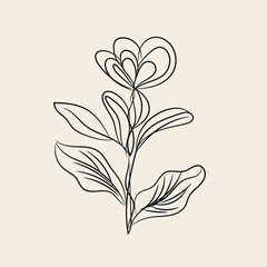 Elegant Minimalist Line Art Flower Botanical Illustration