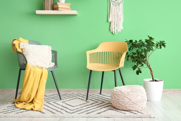 Chairs, pouf, houseplant and shelves with decor on green wall in room