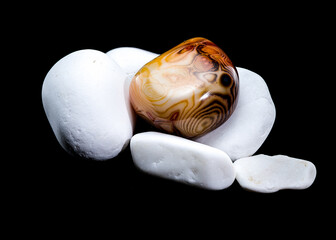 Polished Agate Stone Among White Pebbles
