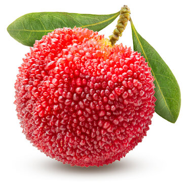 Red Yangmei or Arbutus berries fruit isolated on white, Red Bayberry, Yumberry, Yamamomo, Waxberry on white with work path.