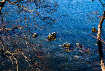 Beautiful seascape. Sea walks. Seaside vacation. Tourism.