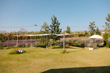 Fototapeta premium Shade in the field