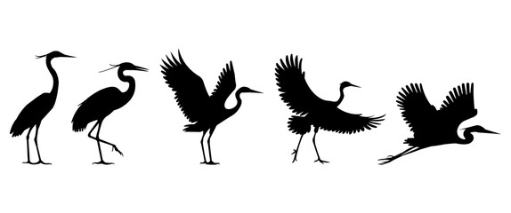 Heron and Crane Bird Silhouettes Set. Standing, Walking, Flying, and Landing Poses. Elegant Avian Vector Illustration for Nature, Wildlife, Ornithology, Art, Design, Decor, and Print Use.