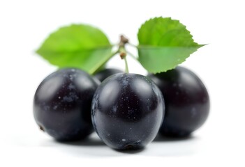 fresh plum fruit isolated on white background