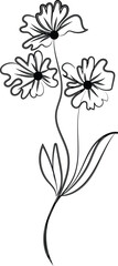 Elegant Line Art Floral Illustration Three Flowers Stem Leaves