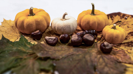 Autumn frame made of knitted leafs oak and maple orange pumpkins on grey background Conceptautumn Thanksgiving Halloween