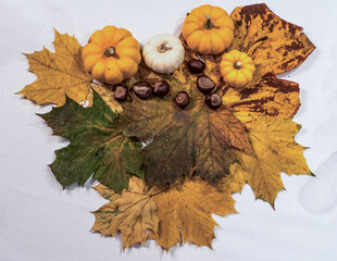 Autumn frame made of knitted leafs oak and maple orange pumpkins on grey background Conceptautumn...