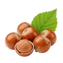 Fresh hazelnuts with leaf isolated healthy snack isolated on white background