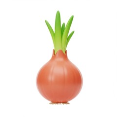 Isolated onion vegetable food fresh cooking ingredient isolated on white background