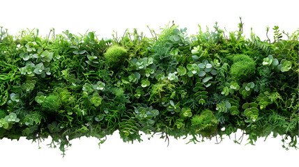 Obraz premium Lush Green Vertical Garden Wall. (2)