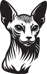 Sphynx Cat Vector Black and White Line Art Illustration